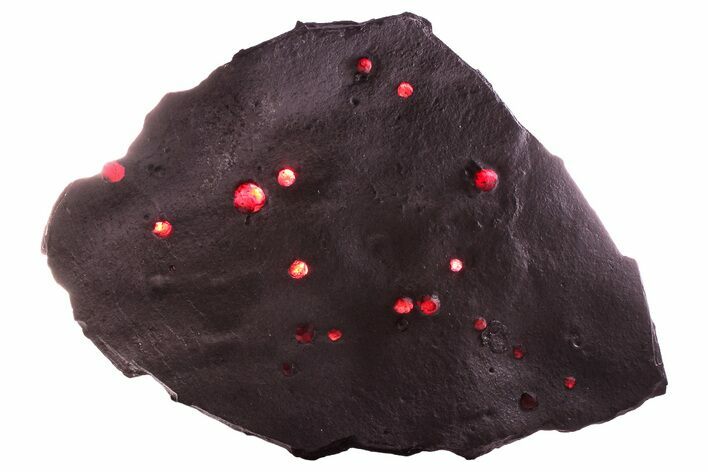 Plate of + Red Embers Garnets in Graphite - Massachusetts #375773